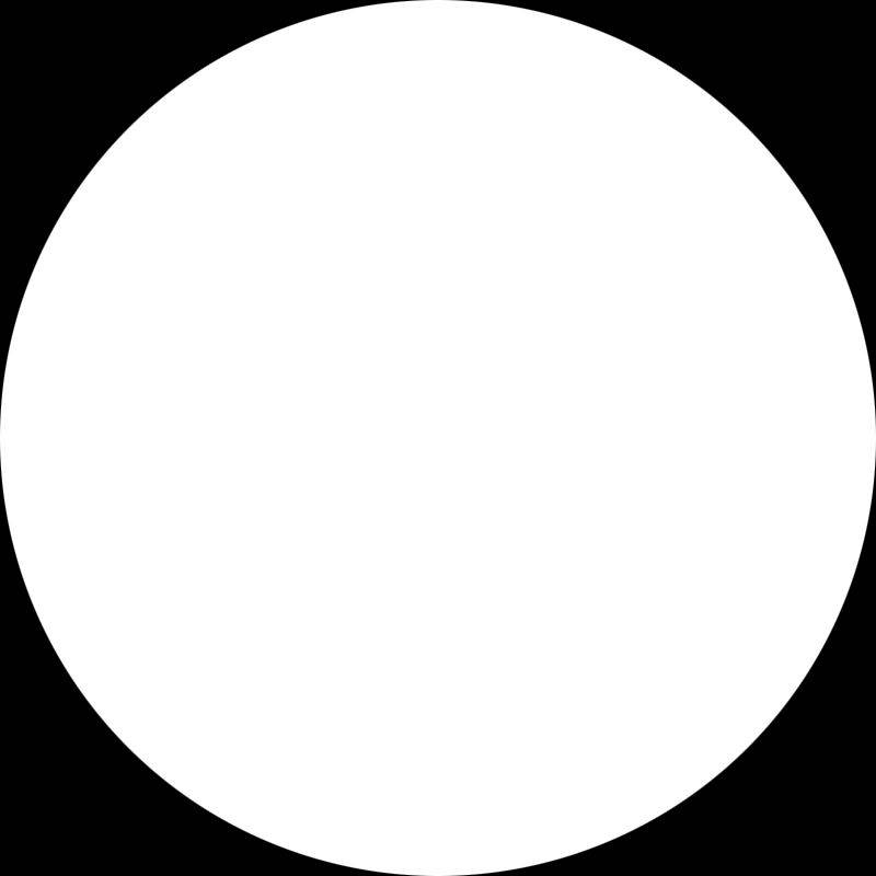 حسنا زارعی