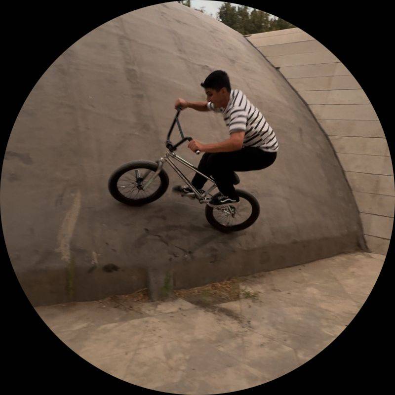 آرین رحمانی