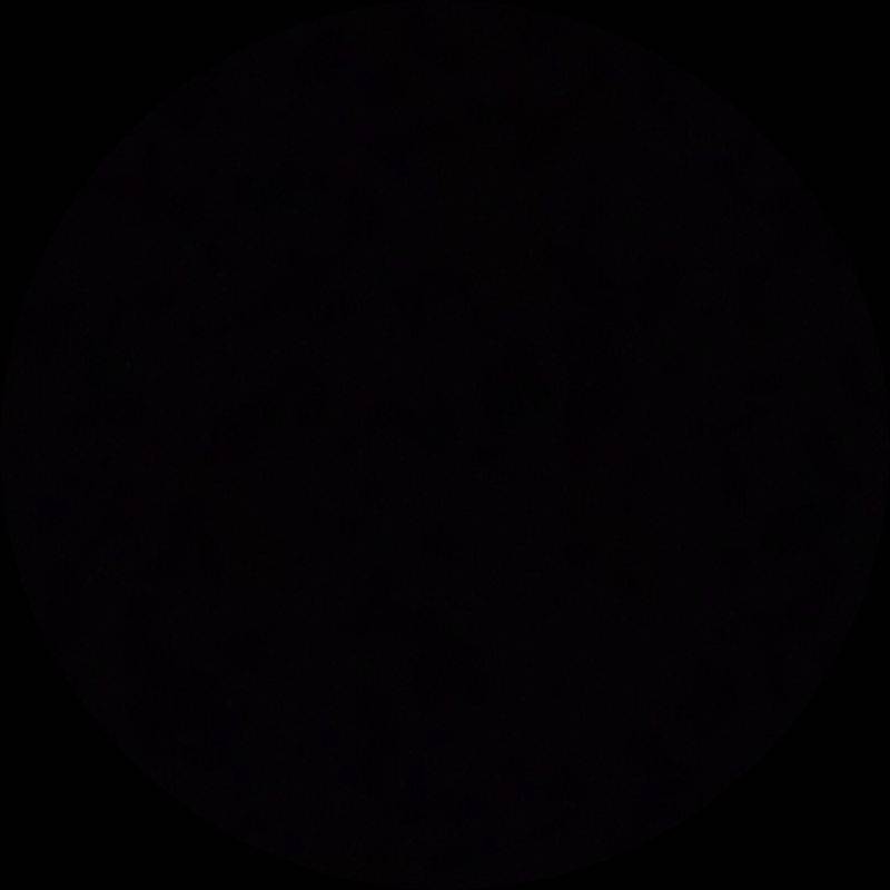 زهرا کیانی