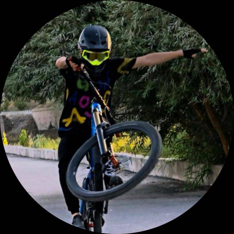 کوروش انصاری باراندوزی