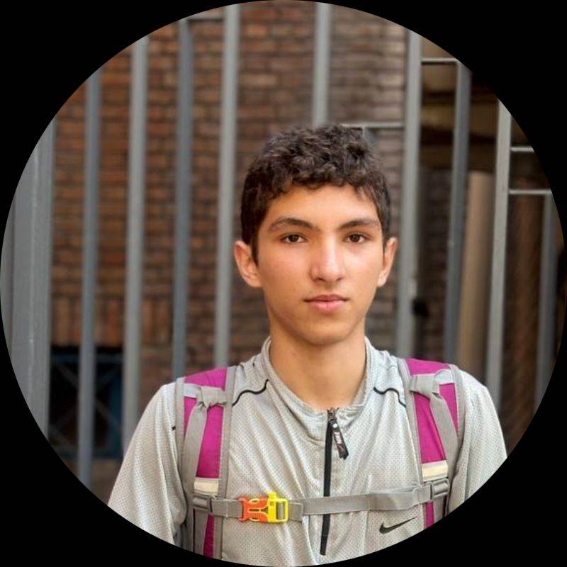 پارسا دستجردی