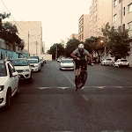 آراد ارغوانی فرد