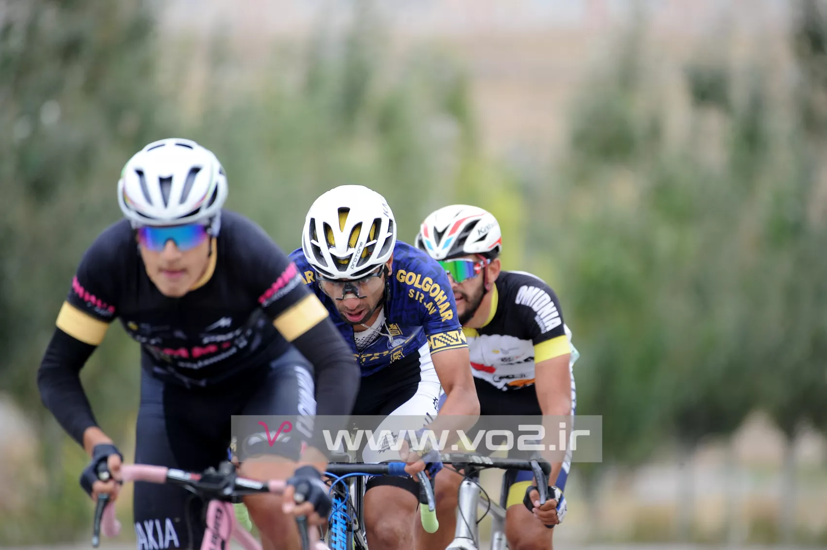 تصویر 13 از گالری