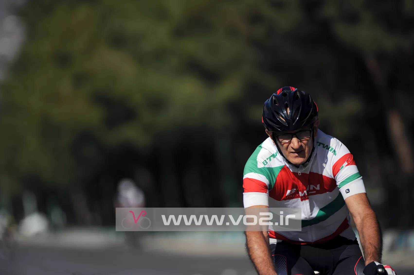 تصویر 15 از گالری