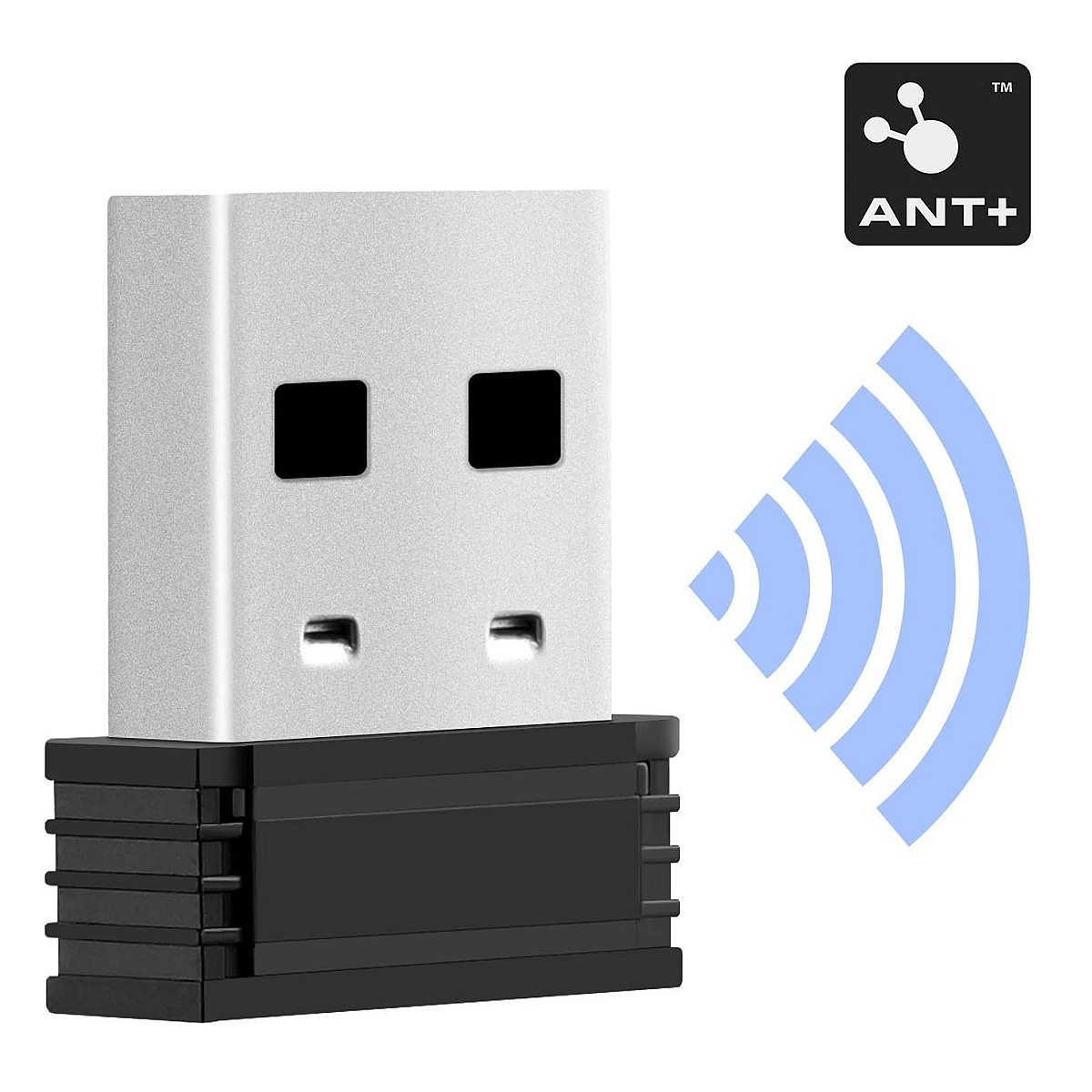 دانگل +ANT — 2