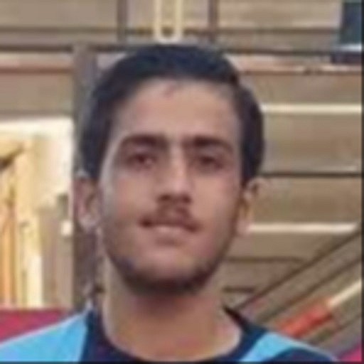 علیرضا پهلوان صادق