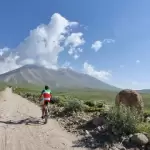 برهان بشارت هریس