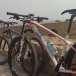 علیرضا بهروزی